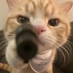 alexjoker467