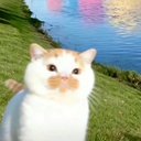 dododook