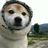 userlogin