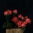 luckyc