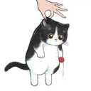 catnbq