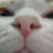 CitrusColaYiYi