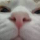 CitrusColaYiYi