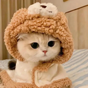 hzzgj