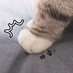 SoloBaby