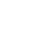 SKN133