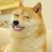 iShawnWang