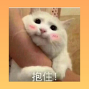hanoicn