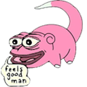 ddshub