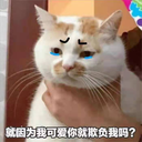 tangv2