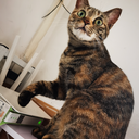 jinxl