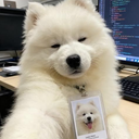 minmo