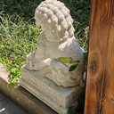 Zheguzai