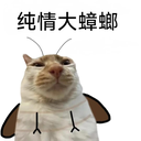 0littleboy
