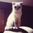 xinyu198736