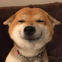 BeiChuanAlex