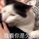eratpfus7