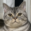 haishenmao