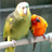 w3c0929