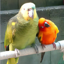 w3c0929