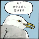 stein9999