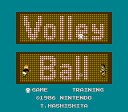 Volleyball