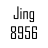 jing8956