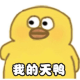 linbiwei