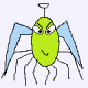 miaomiao's avatar