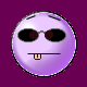 1147637223