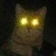 bincat