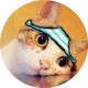soloproc