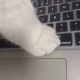 Secret