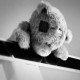 kkbear