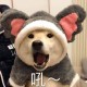 邓先森